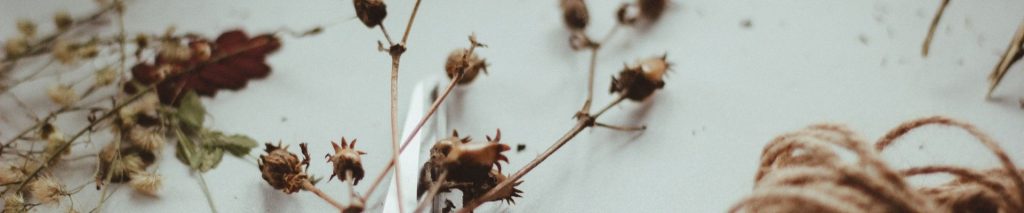 comment faire un herbier