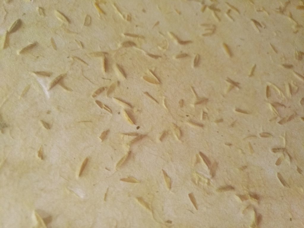 Papier artisanal avec vegetaux incruste grain de riz un carnet pour chaque creativite La Sardine Plastique couverture