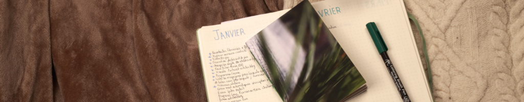 Copie de banniere article blog 13 01 21 – La Sardine Plastique