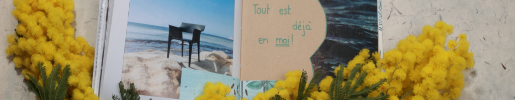 Banniere Virginie Heriot – La Sardine Plastique