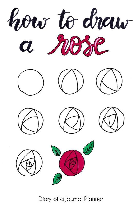 comment dessiner une rose