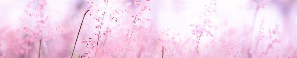 les saisons