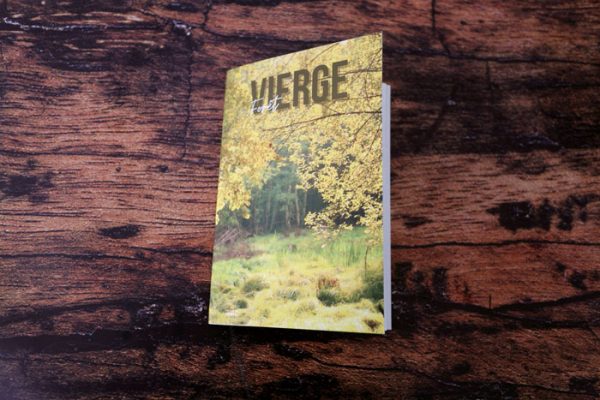 foret vierge